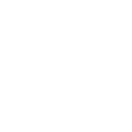 logo-duse